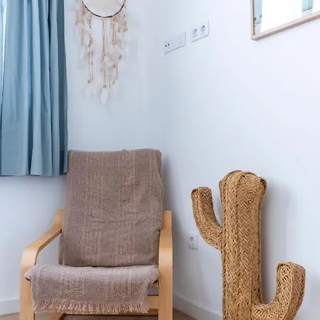 Correlimo Holidayfv *