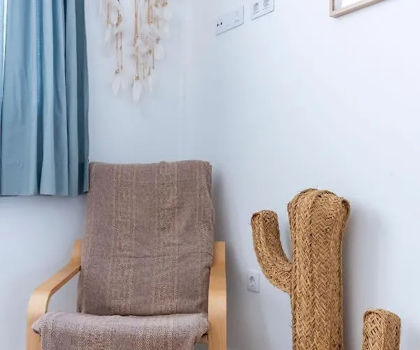 Correlimo Holidayfv *